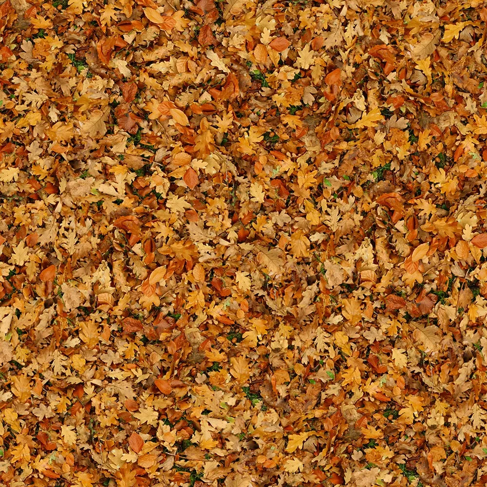 textures – Organic 28 3ds Max