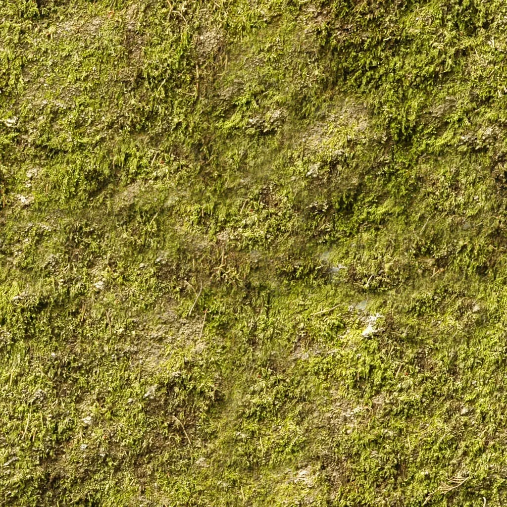 textures – Organic 29 3ds Max