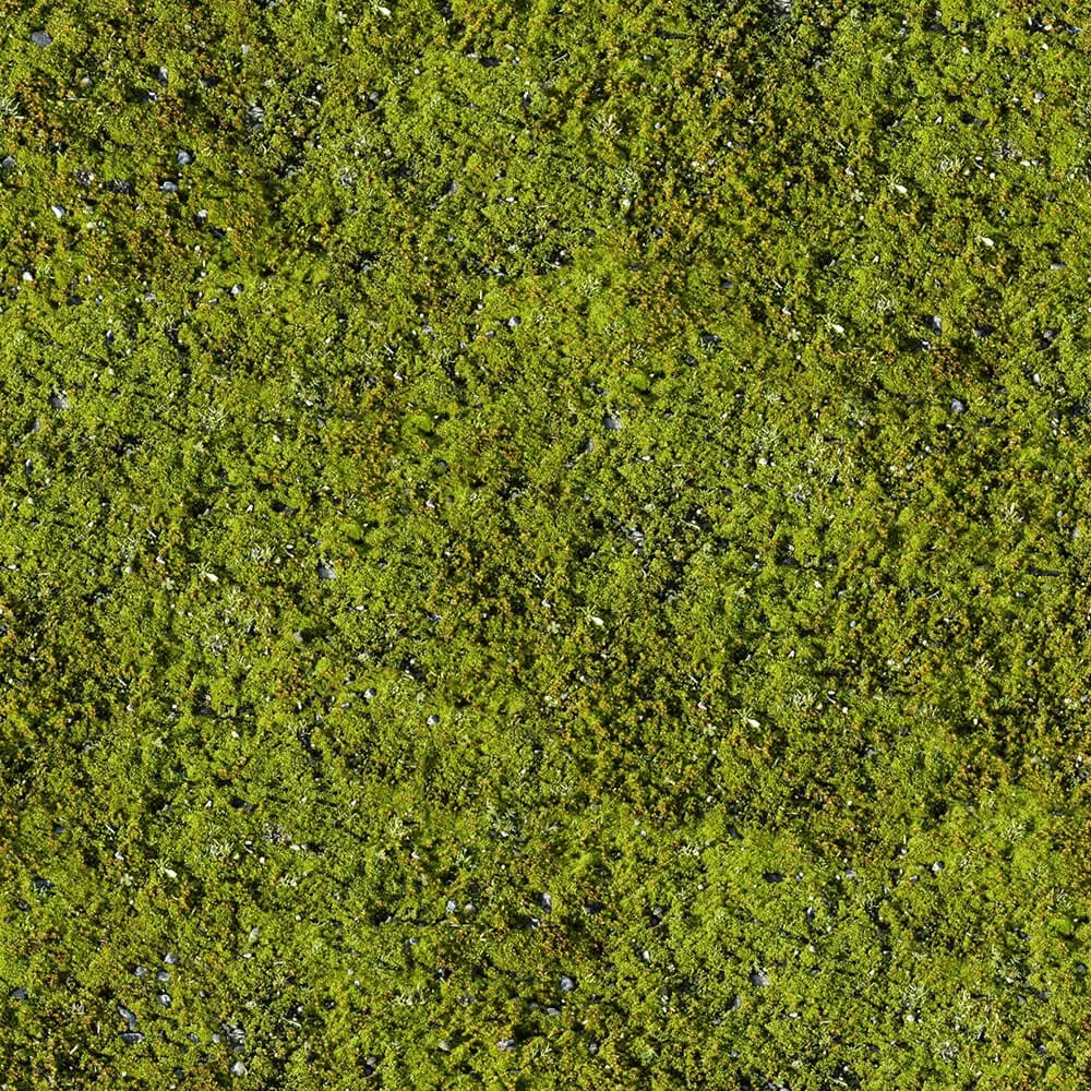 textures – Organic 3 3ds Max