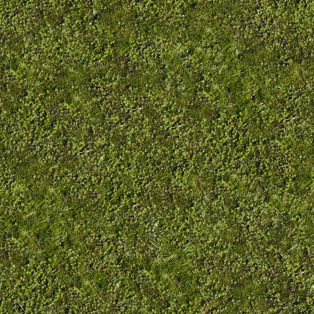 textures – Organic 30 3ds Max