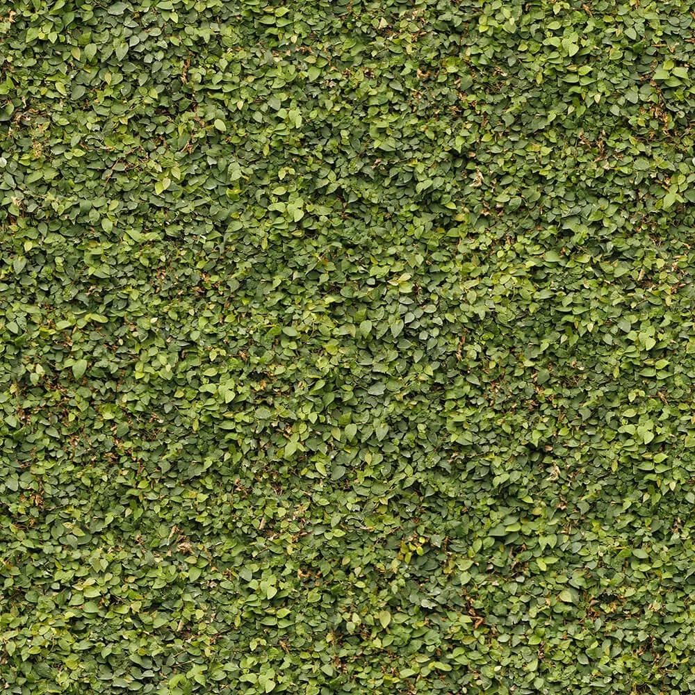 textures – Organic 31 3ds Max