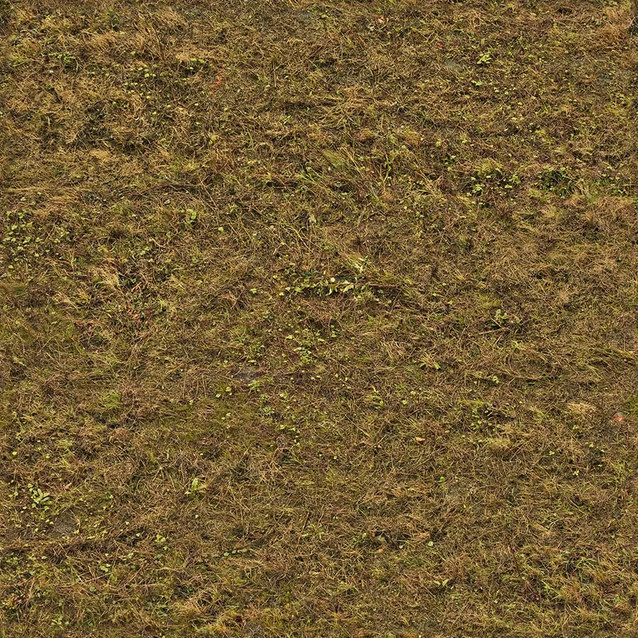 textures – Organic 37 3ds Max