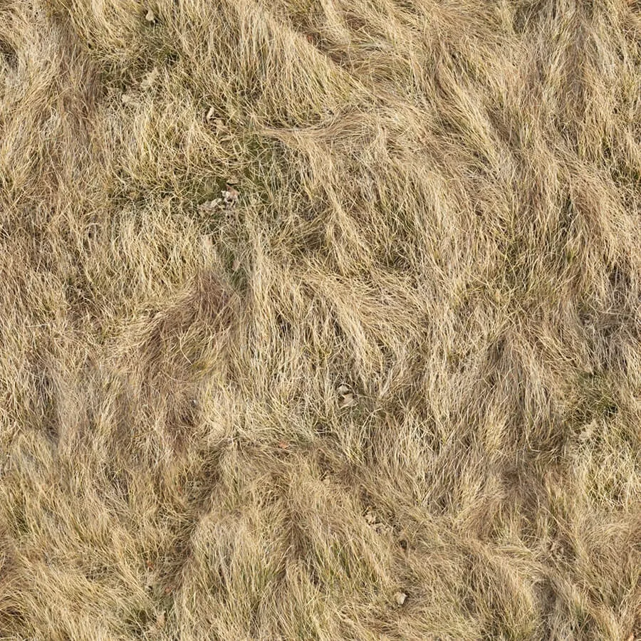 textures – Organic 38 3ds Max