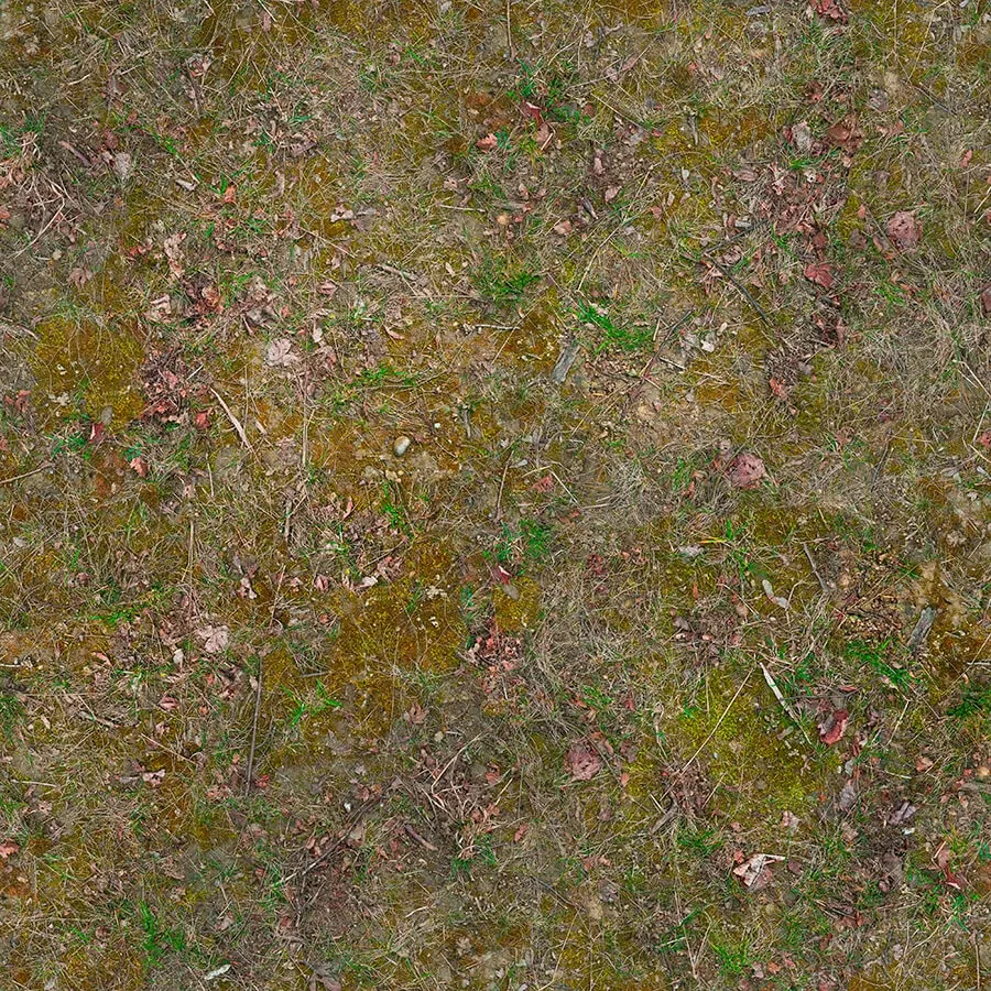textures – Organic 39 3ds Max