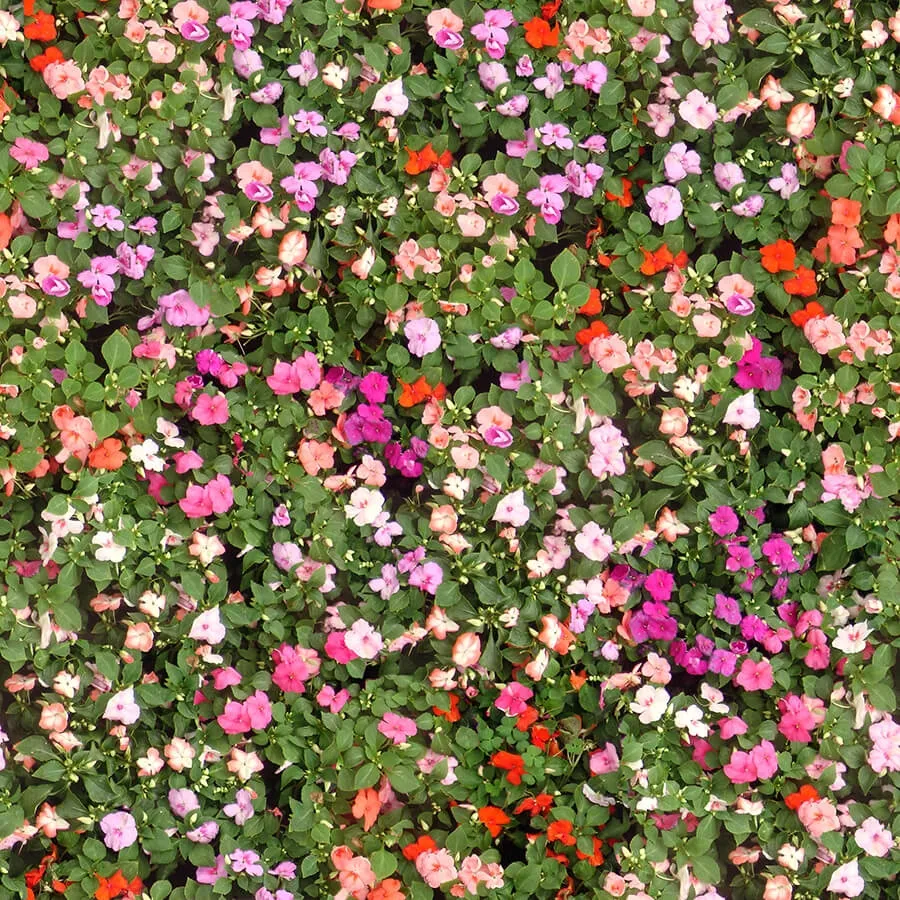 textures – Organic 42 3ds Max