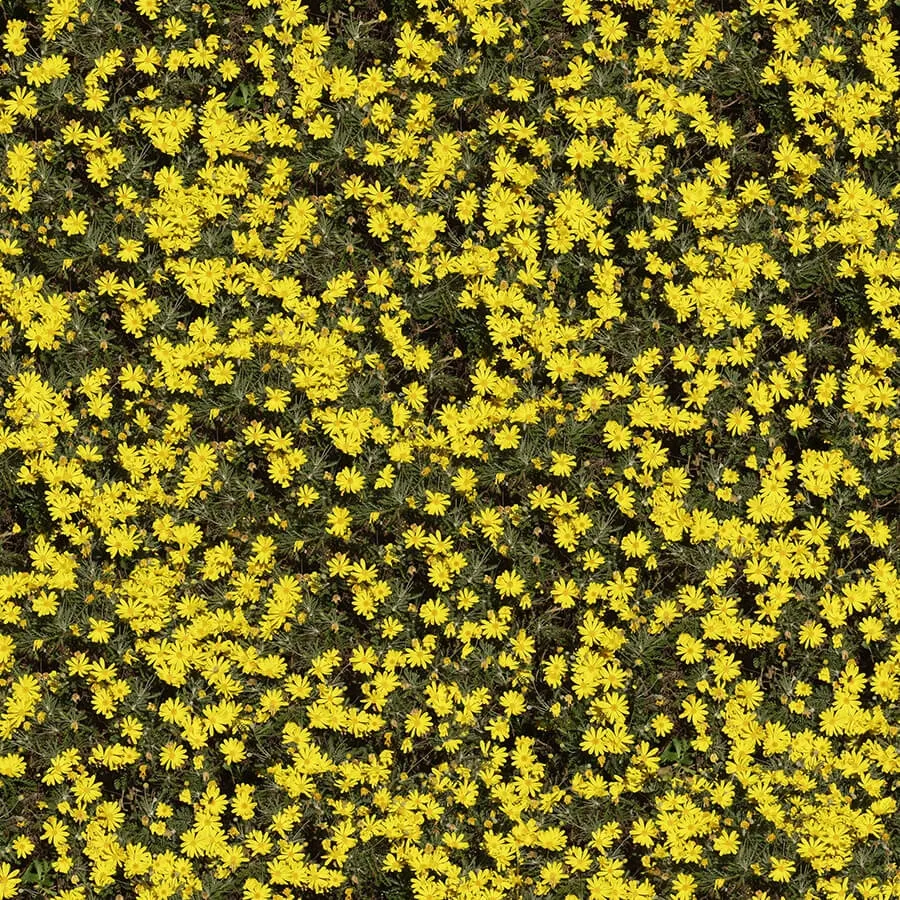 textures – Organic 44 3ds Max