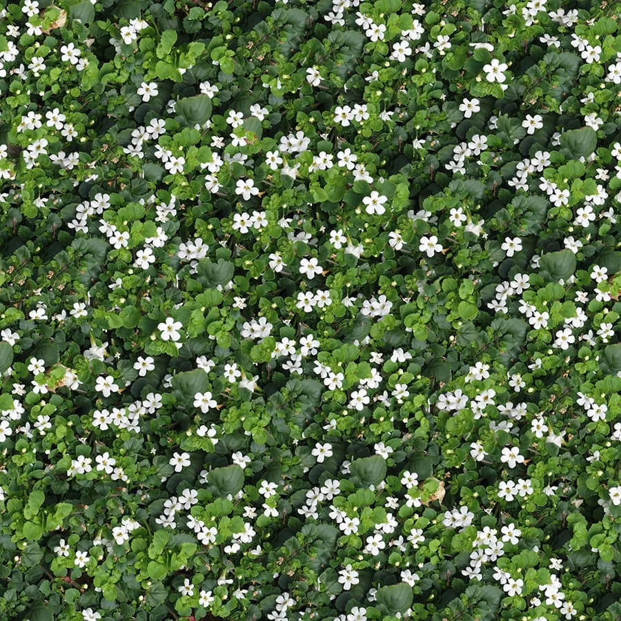 textures – Organic 45 3ds Max