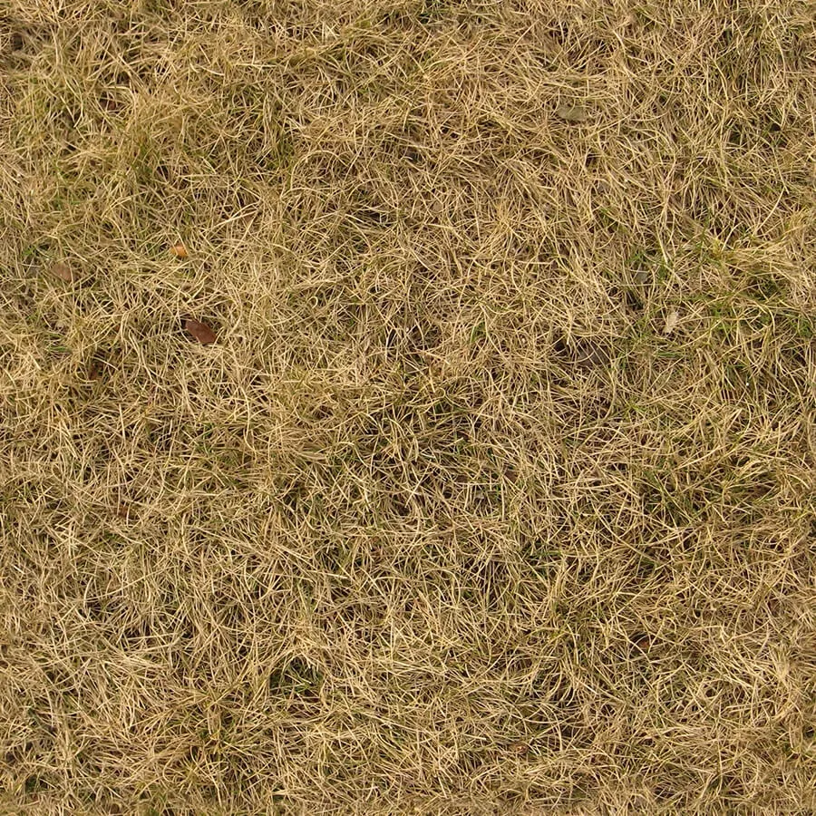 textures – Organic 47 3ds Max
