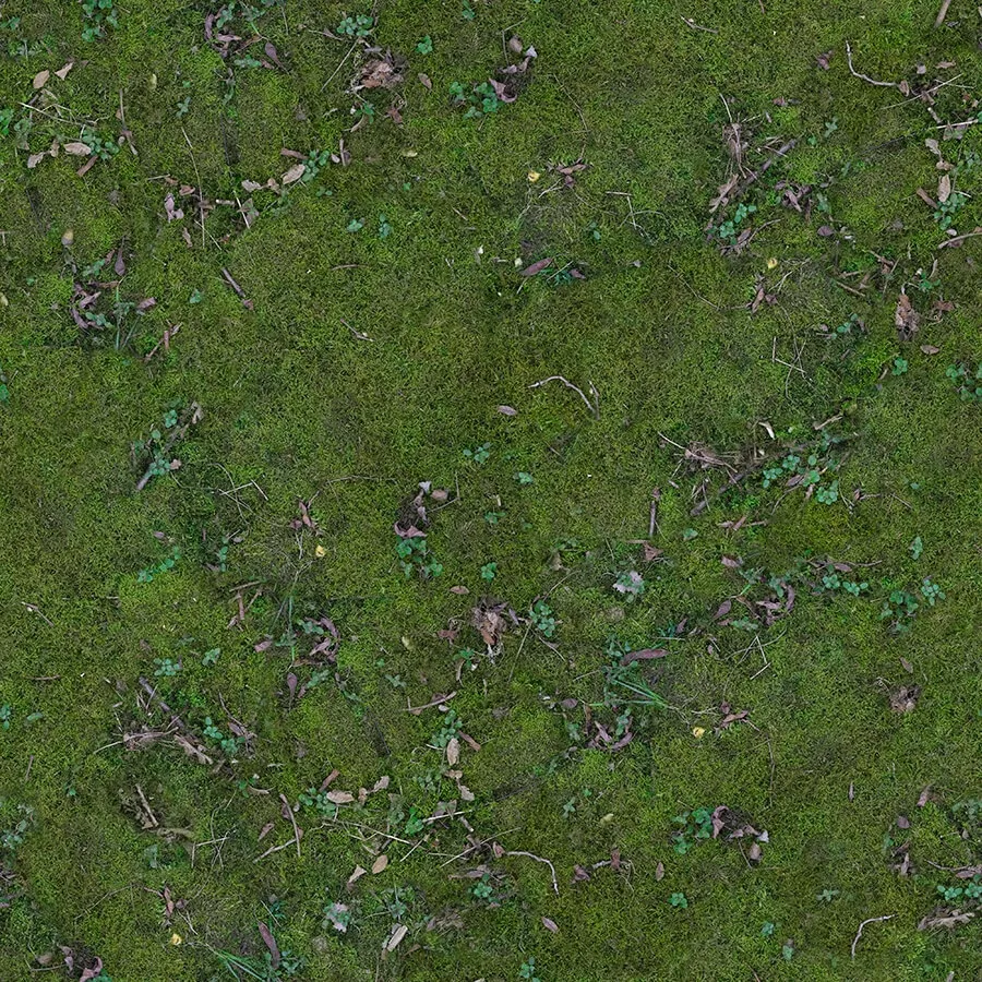 textures – Organic 48 3ds Max