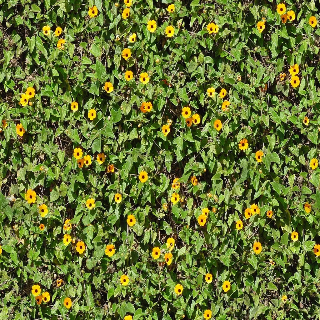 textures – Organic 5 3ds Max