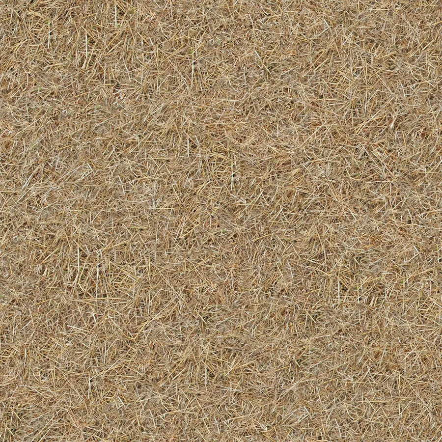 textures – Organic 51 3ds Max