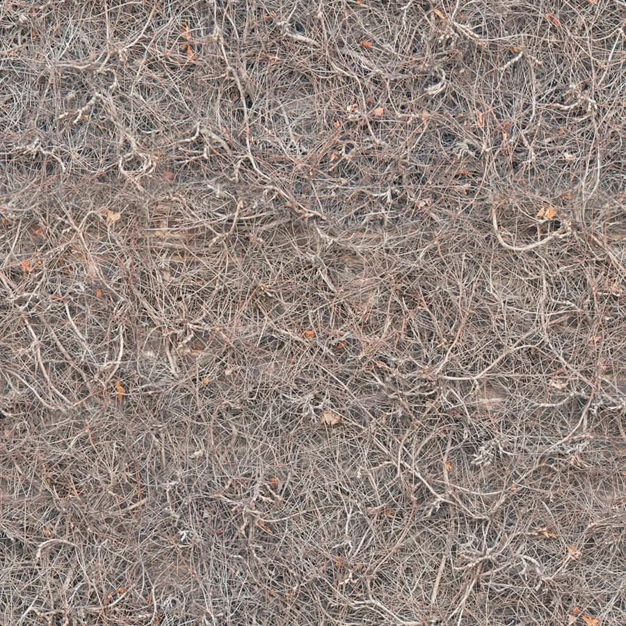 textures – Organic 53 3ds Max