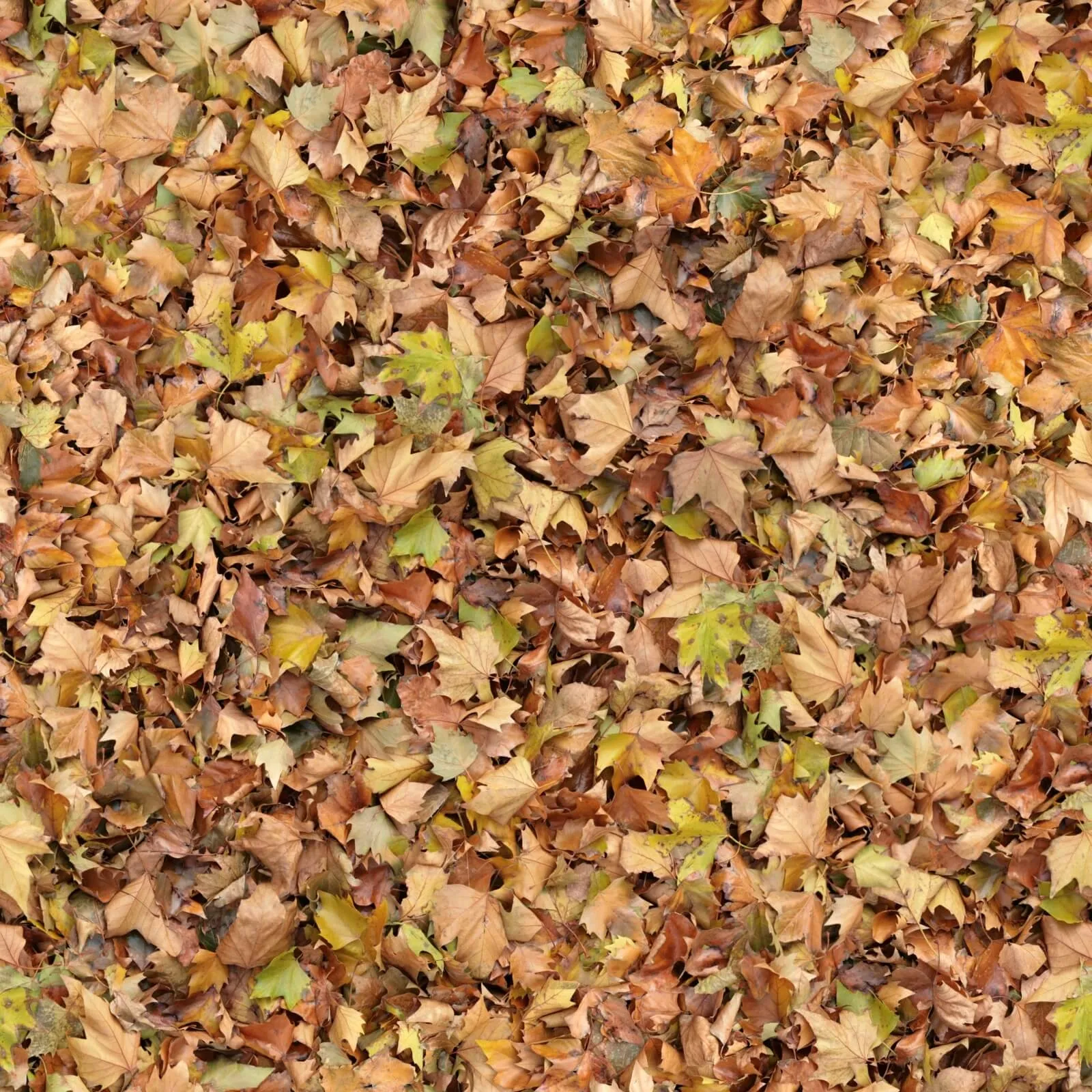 textures – Organic 54 3ds Max
