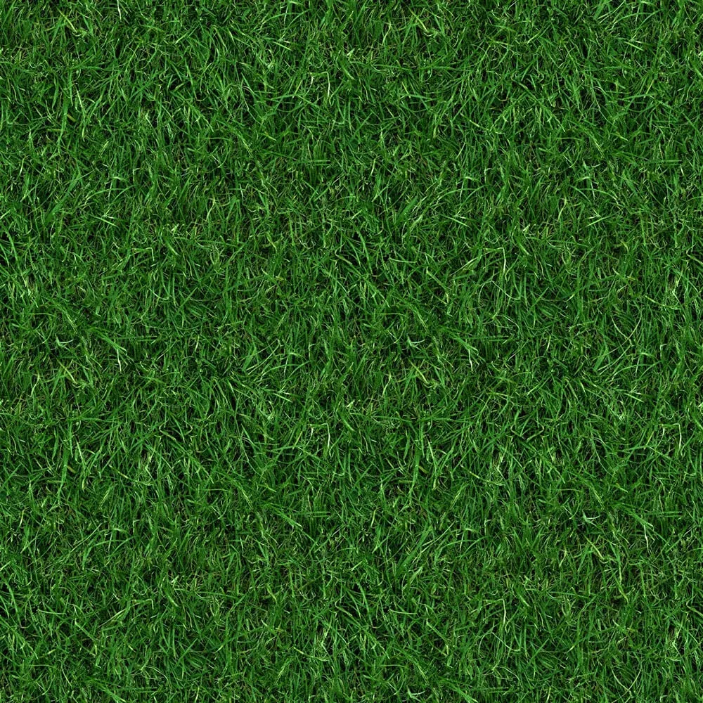 textures – Organic 59 3ds Max