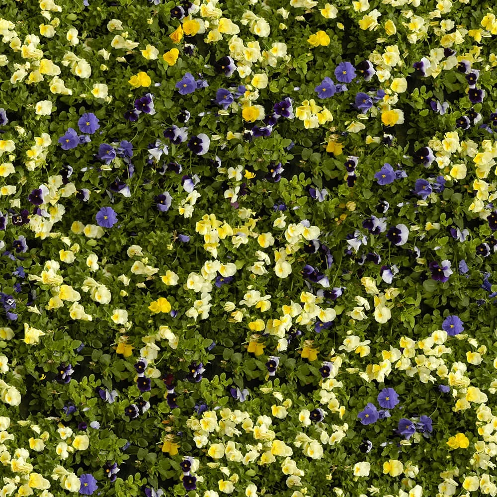 textures – Organic 8 3ds Max