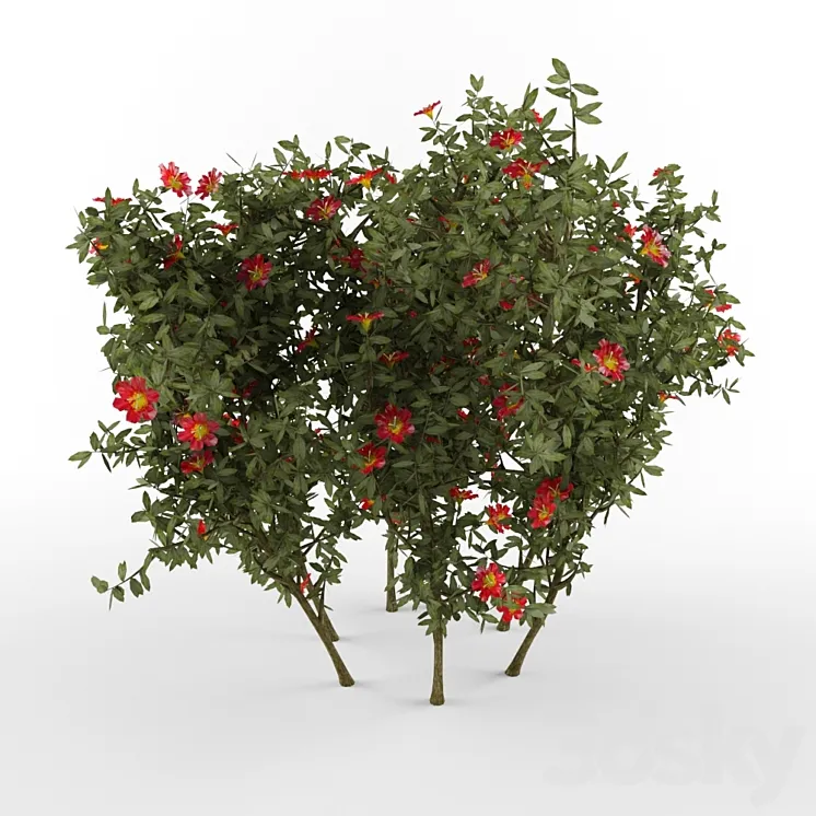 The bush with flowers 3DS Max