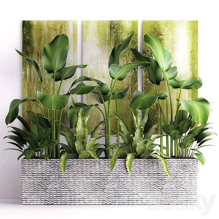 The collection of plants in pots 16. green painting calathea lutea asplenium bushes pot flowerpot concrete 3DS Max