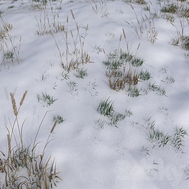 The grass under the snow 3ds Max