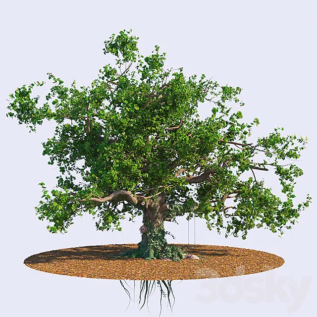 The old oak 3DS Max Model