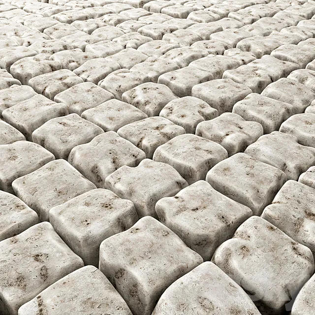 The old square pavers 3DS Max Model