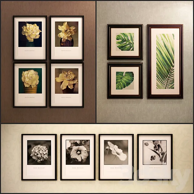 The picture in the frame: 11 Pieces (Collection 13) Flowers 3DSMax File