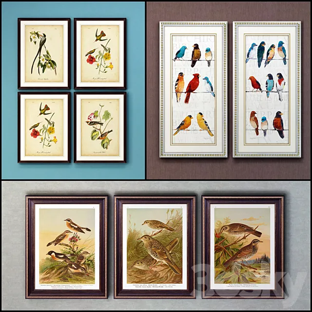 The picture in the frame: 17 pieces (collection 63) Birds 3ds Max