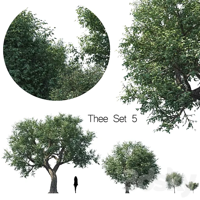 Thee set 5 3ds Max