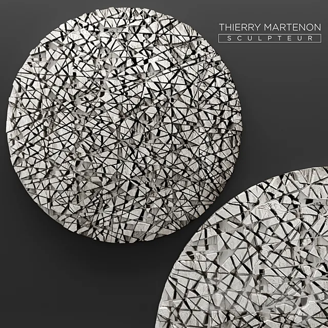 Thierry Martenon wall panel. figurine. carving. abstraction. modern art. art. round. wall. picture. stone 3DSMax File