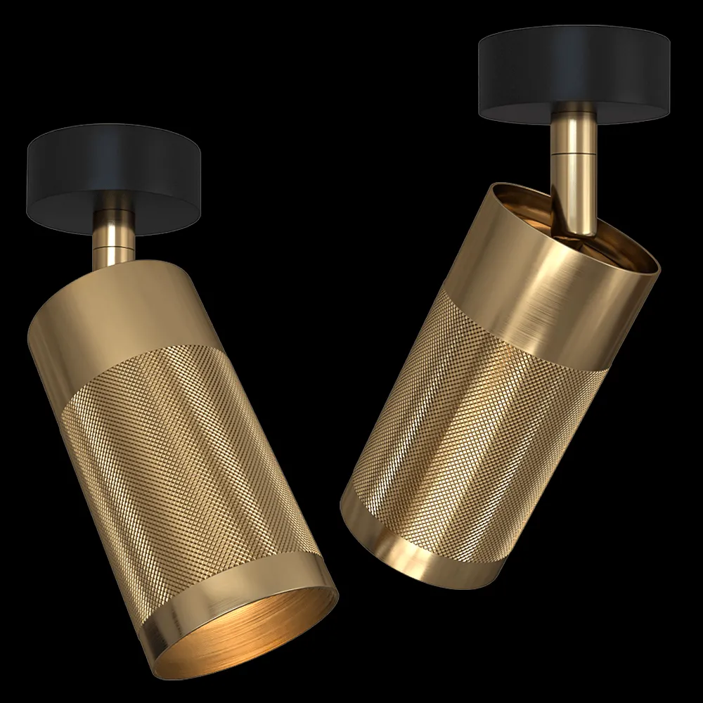 Thorup Copenhagen – Ceiling Spot Light Patrone Canopy 3ds Max