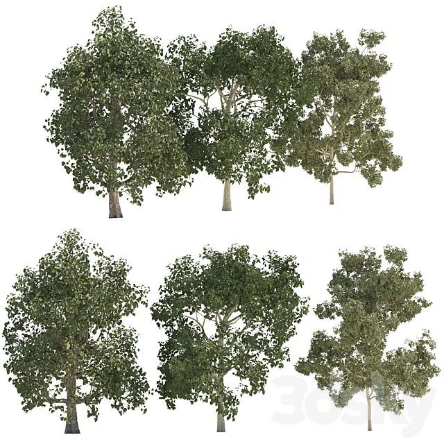 Three trees 3DSMax File