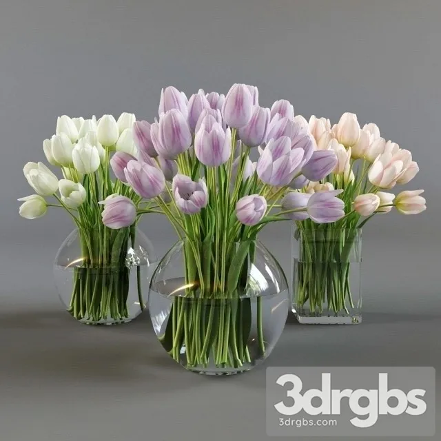 Three Vases Tulips 3dsmax Download
