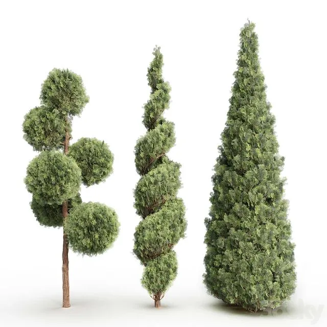 Thuja # 1 3dsMax Model