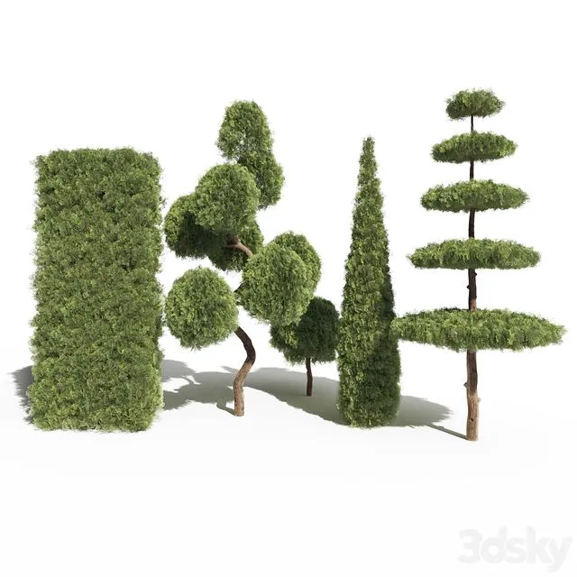 Thuja #2 3dsMax Model