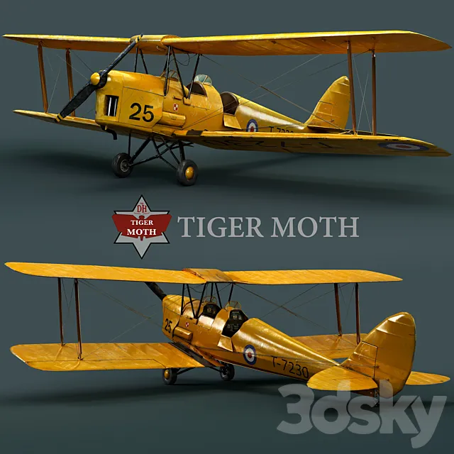 Tiger moth 3DS Max Model