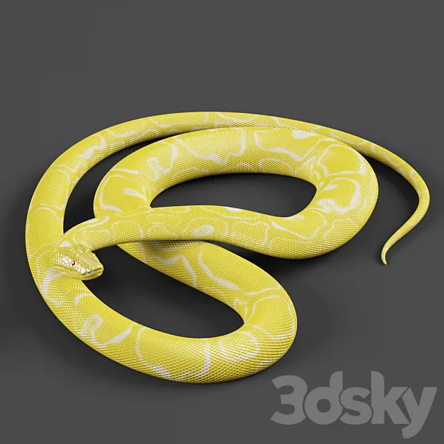 Tiger python 3ds Max