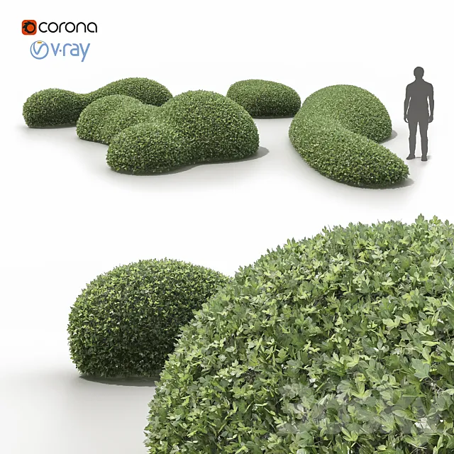 Topiary bushes _ Topiary bushes 3ds Max