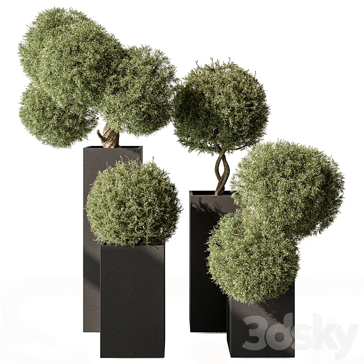 Topiary Plant in Box – Outdoor Plants 445 3DS Max Model