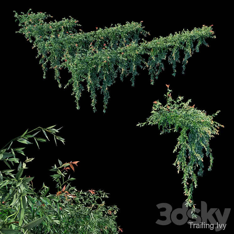 Trailing ivy 3DS Max