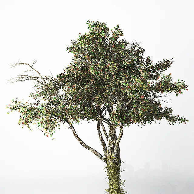 Tree 21 3ds Max