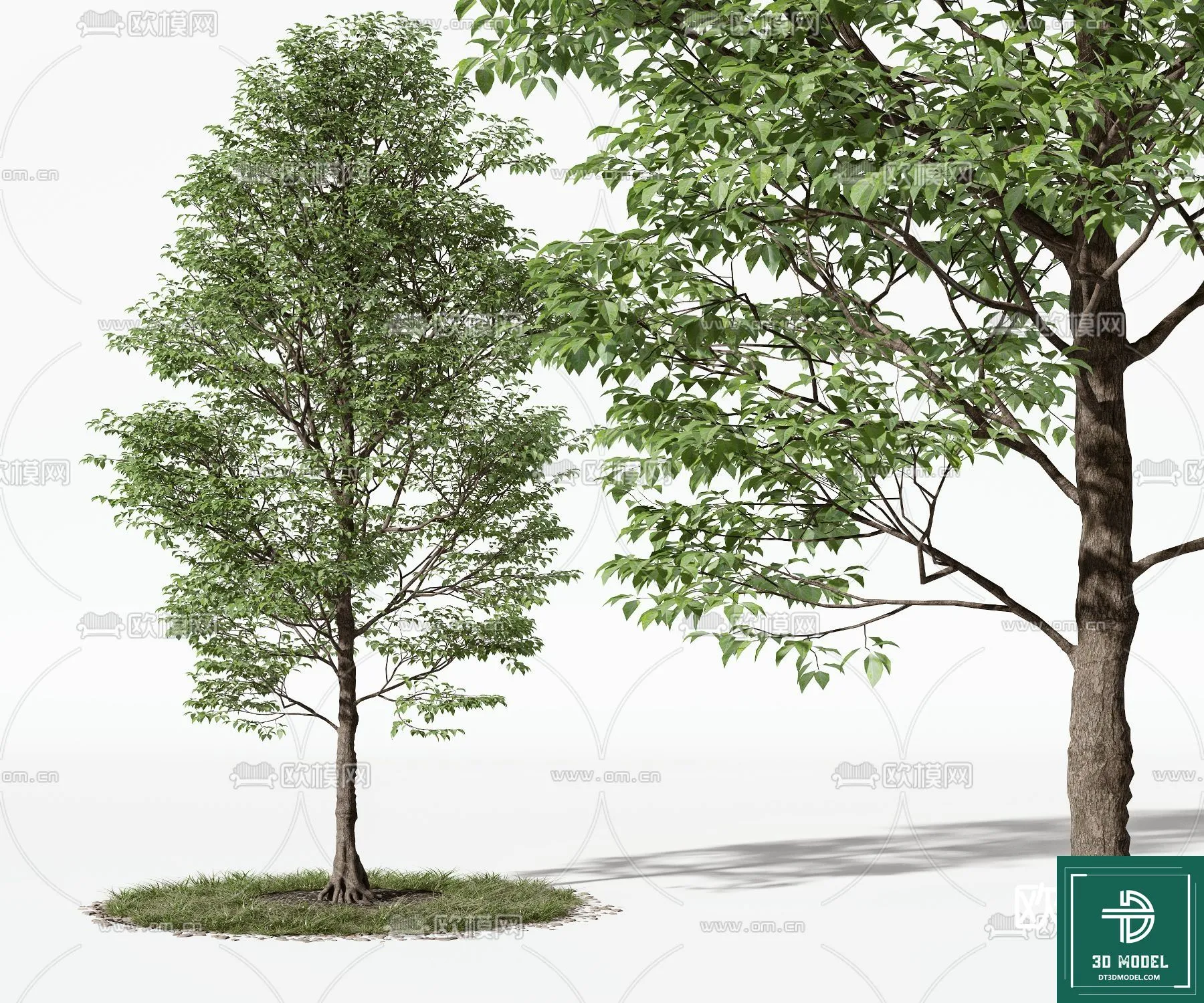 Tree 3D Models – Exterior and Architecture 3DS Max – 001