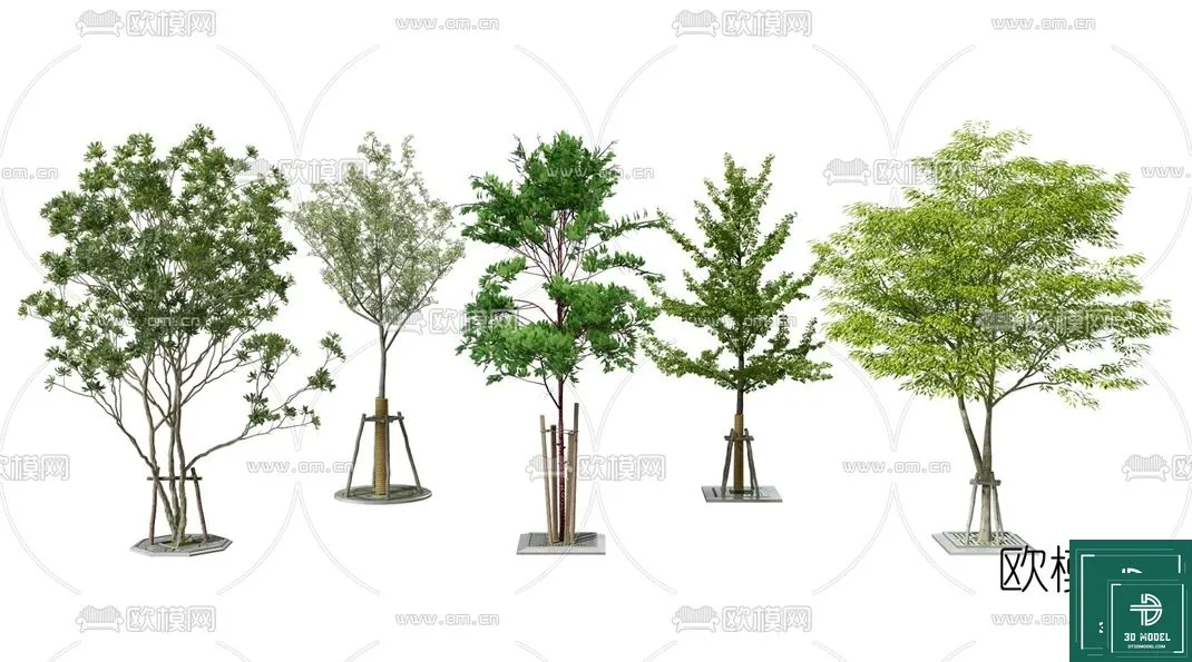 Tree 3D Models – Exterior and Architecture 3DS Max – 002