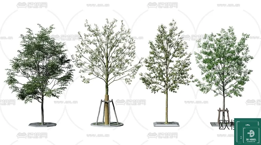 Tree 3D Models – Exterior and Architecture 3DS Max – 003