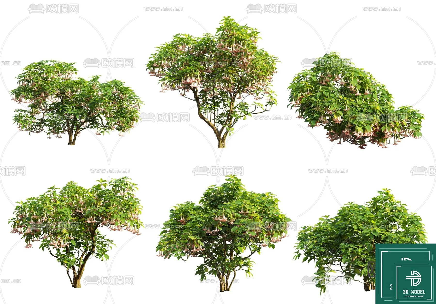 Tree 3D Models – Exterior and Architecture 3DS Max – 005