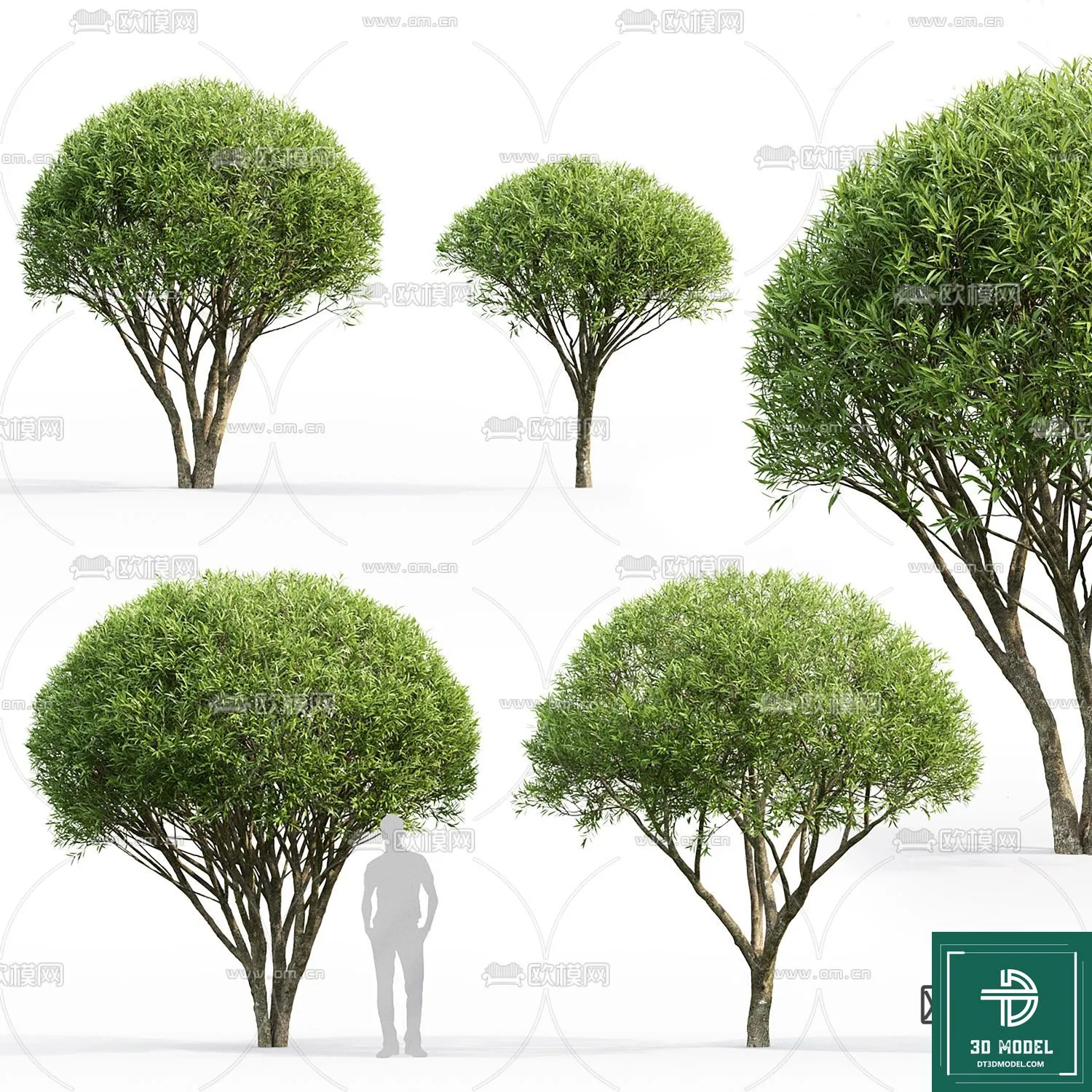 Tree 3D Models – Exterior and Architecture 3DS Max – 006