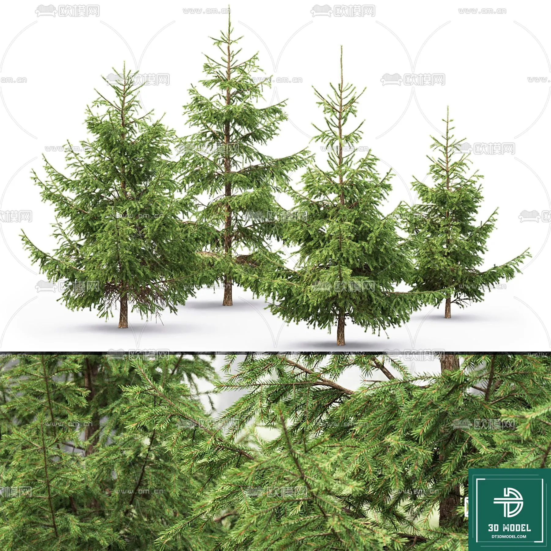 Tree 3D Models – Exterior and Architecture 3DS Max – 007