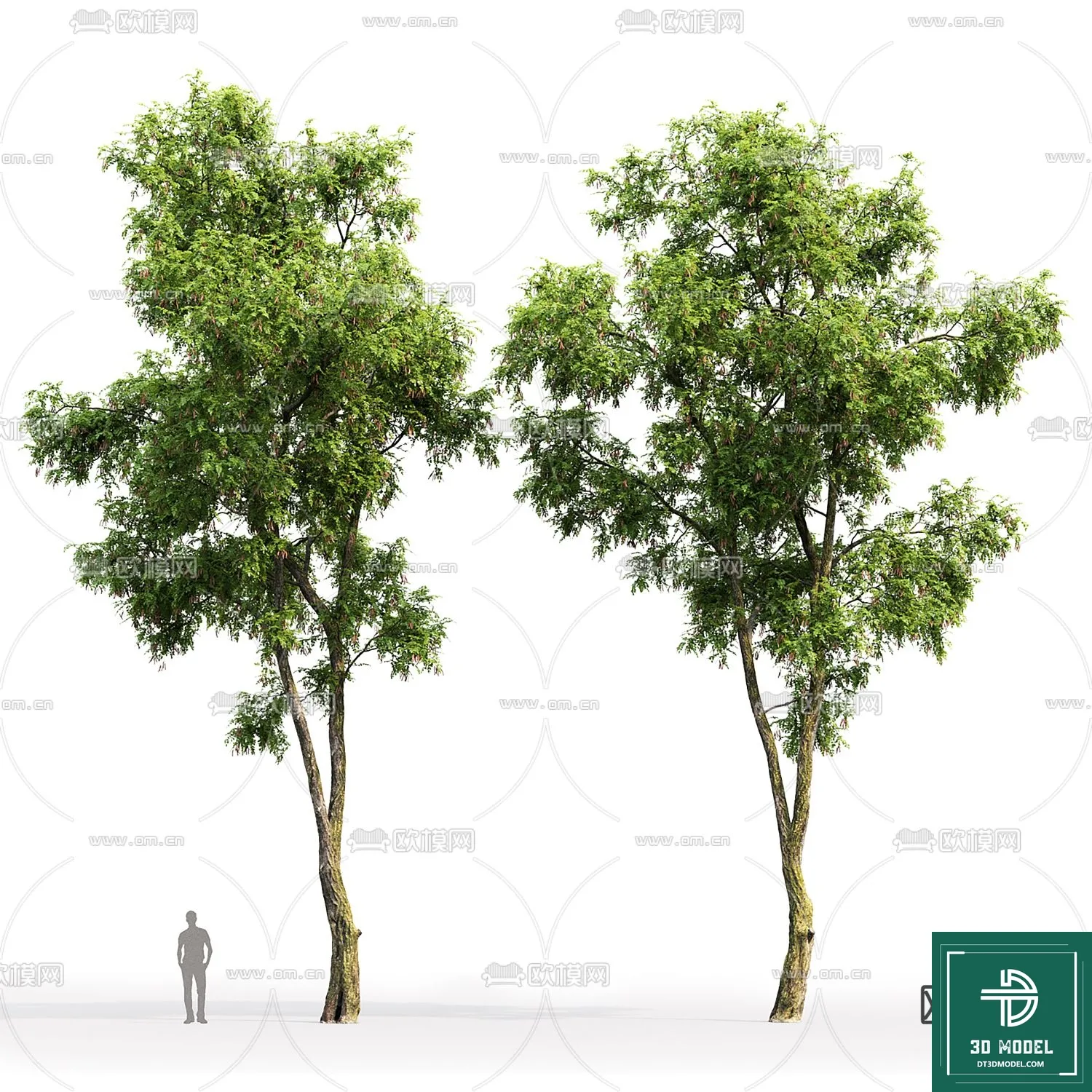 Tree 3D Models – Exterior and Architecture 3DS Max – 009