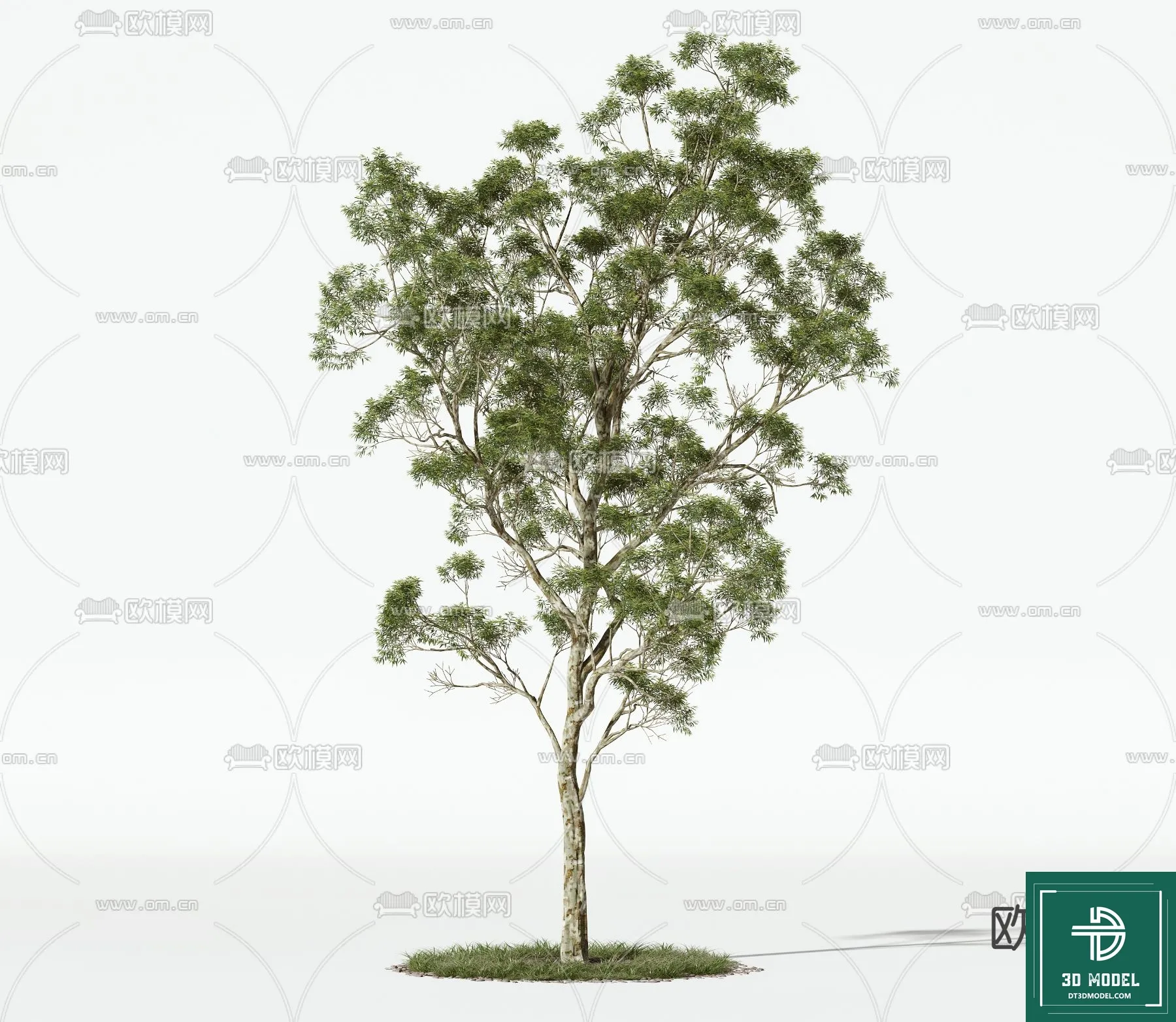 Tree 3D Models – Exterior and Architecture 3DS Max – 012