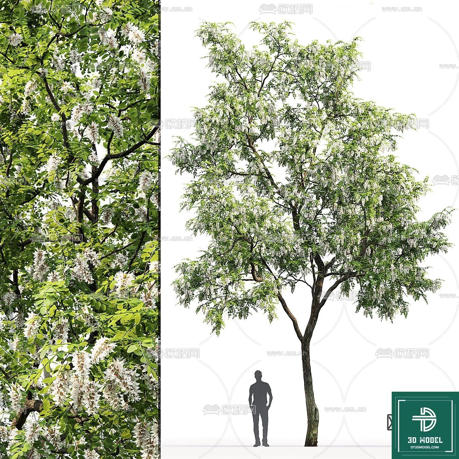 Tree 3D Models – Exterior and Architecture 3DS Max – 015