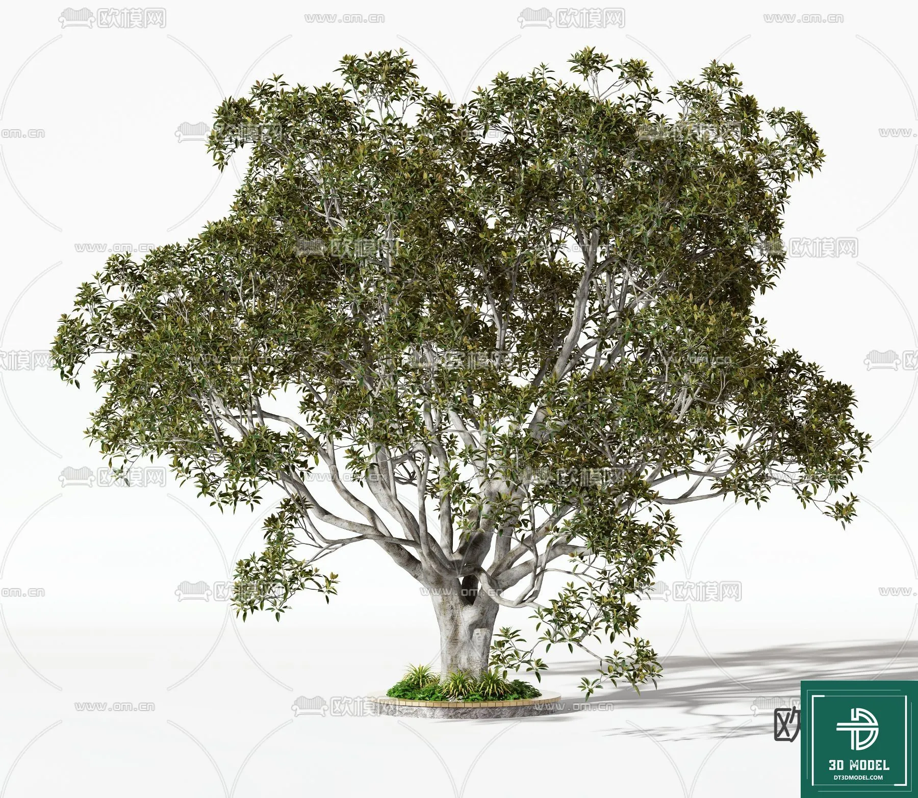 Tree 3D Models – Exterior and Architecture 3DS Max – 021