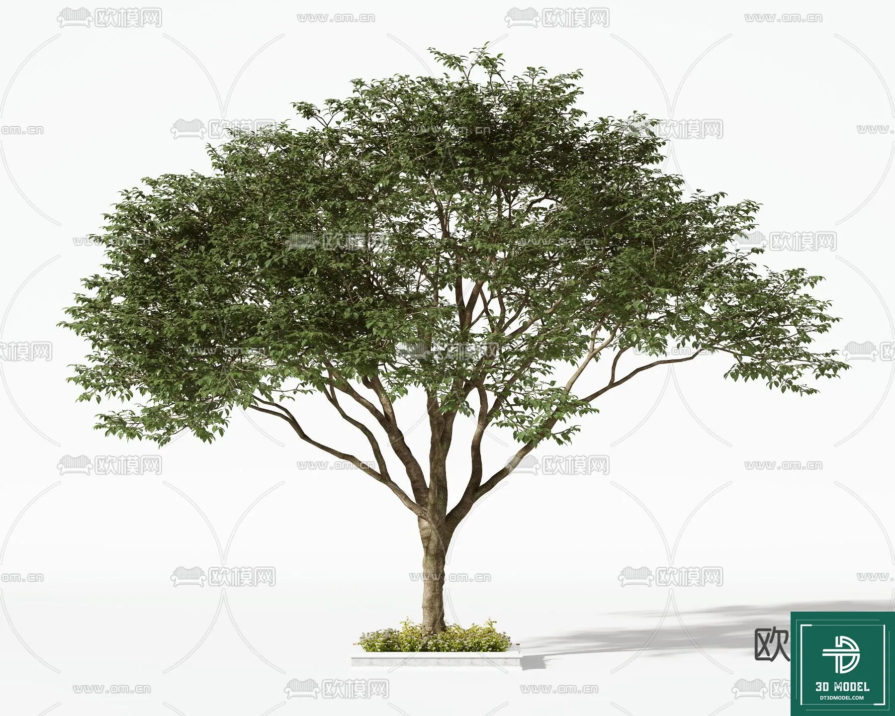 Tree 3D Models – Exterior and Architecture 3DS Max – 023